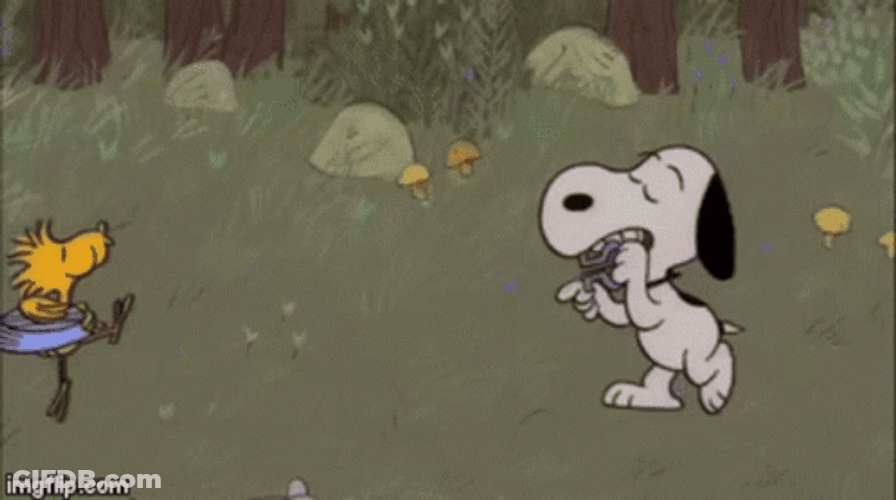 Happy Dancing Snoopy And Woodstock GIF