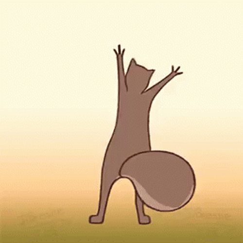 Happy Dancing Squirrel Hands Up GIF