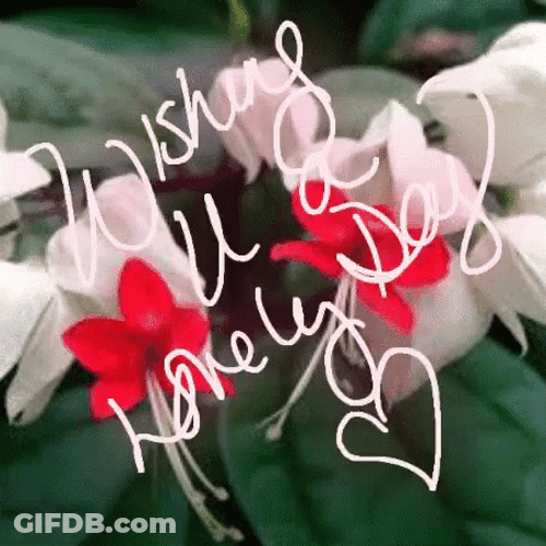Happy Day Special Good Morning GIF