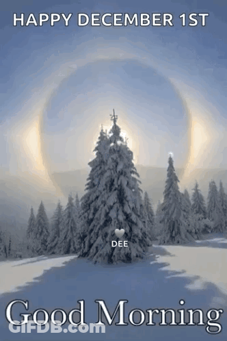 Happy December 1St Good Morning Snowy Forest Christmas Tree GIF