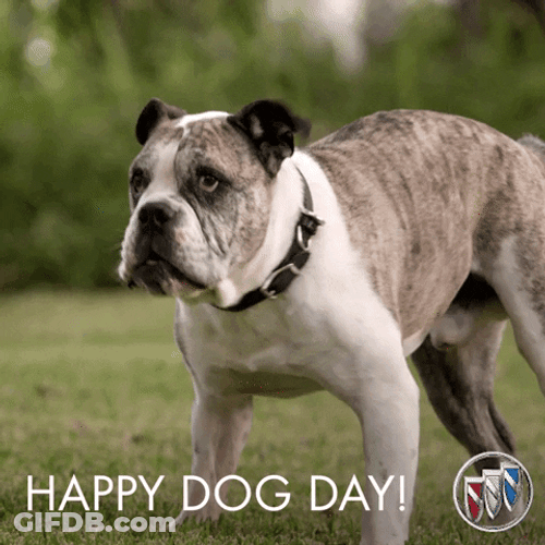 Happy Dog Bark GIF