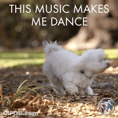 Happy Dog Catch Tail GIF