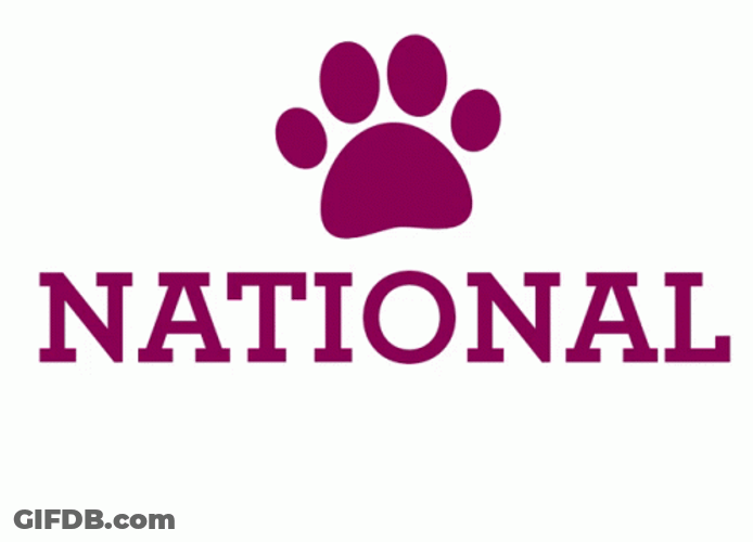 Happy Dog Day Paws GIF
