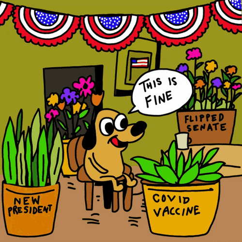 Happy Dog Everything Is Fine With All The Changes GIF