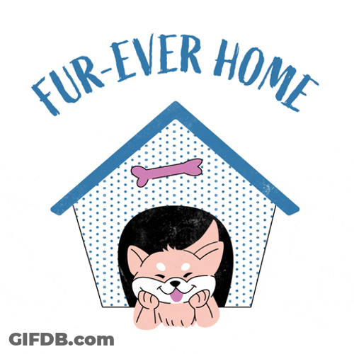 Happy Dog Home GIF
