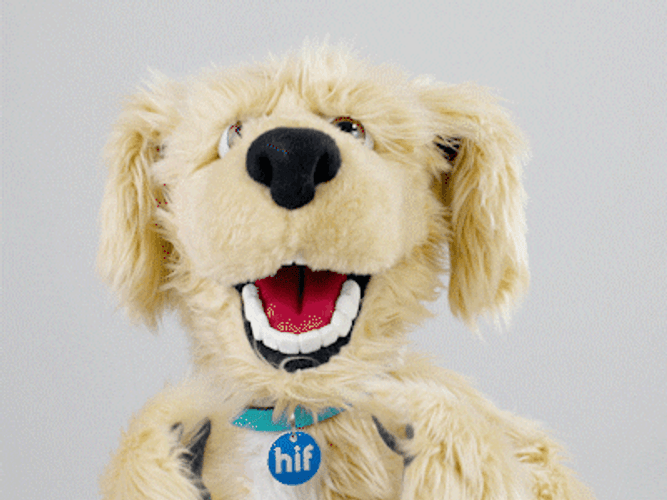 Happy Dog Mascot GIF
