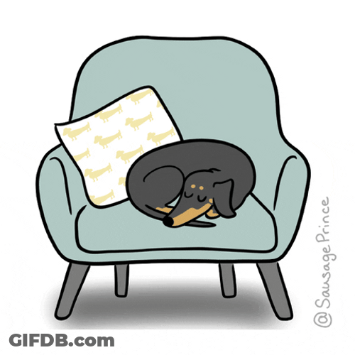 Happy Dog Pet GIF