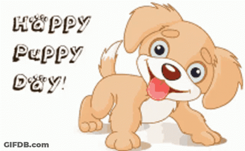 Happy Dog Pup Day GIF