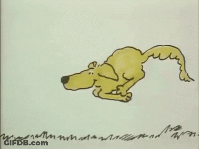 Happy Dog Running GIF