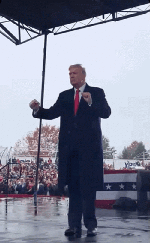 Happy Donald Trump Dancing GIF