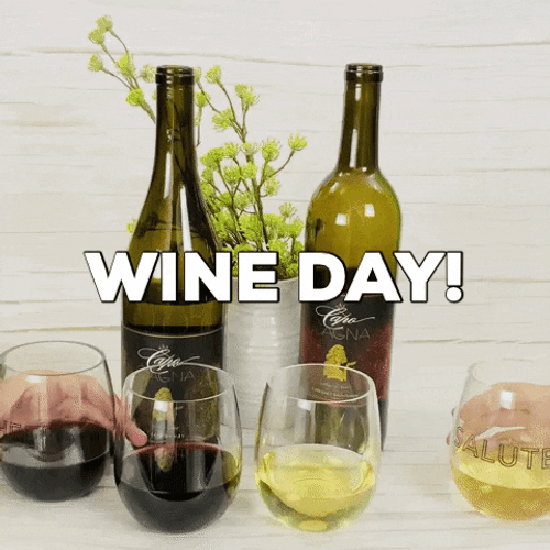 Happy Drinking Wine Day Cheers GIF