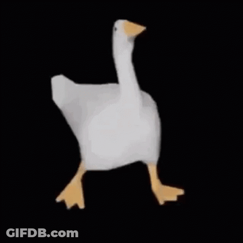 Happy Duck Dance In The Dark GIF