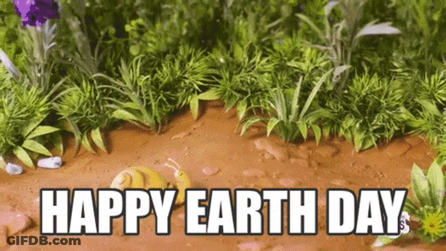 Happy Earth Day Butterfly Flowers GIF