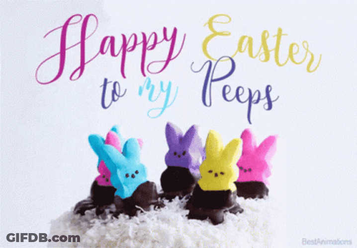 Happy Easter Funny Bunnies To My Peeps GIF