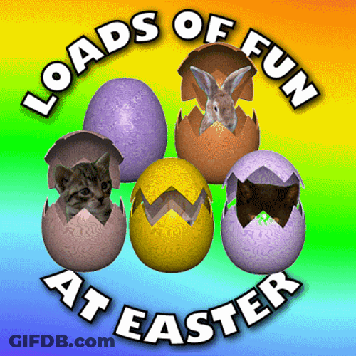 Happy Easter Funny Bunny Eggs Loads Of Fun GIF