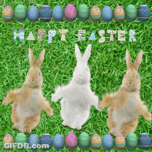 Happy Easter Funny Dancing Bunnies GIF