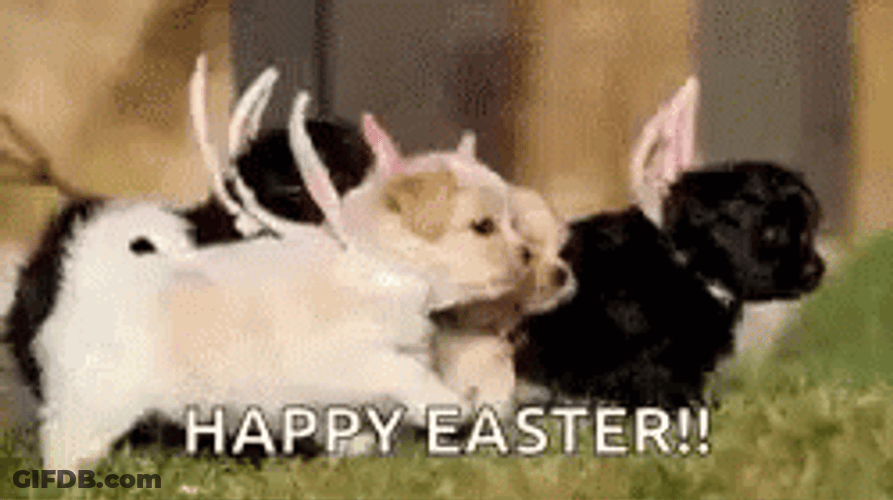 Happy Easter Little Puppies GIF