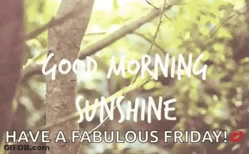 Happy Fabulous Long Weekend Morning GIF