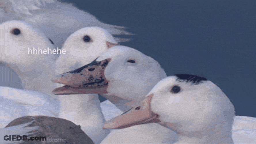 Happy Face Duck Hehehe GIF