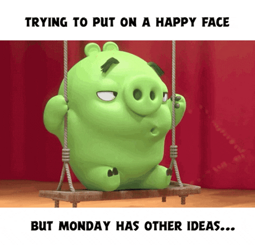 Happy Face Monday Piggy Angry Birds GIF