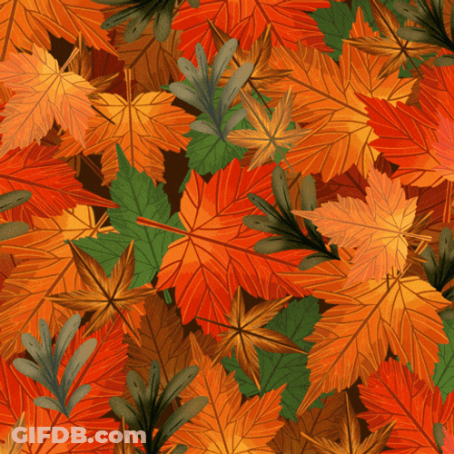 Happy Fall Cute Penguin Lays Down Leaf GIF