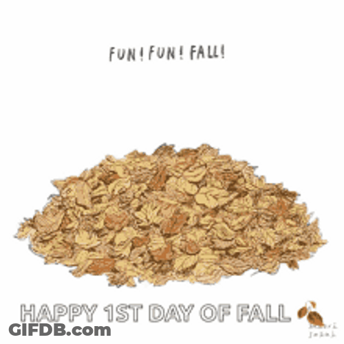 Happy Fall Fun Dog In Autumn Leaves GIF