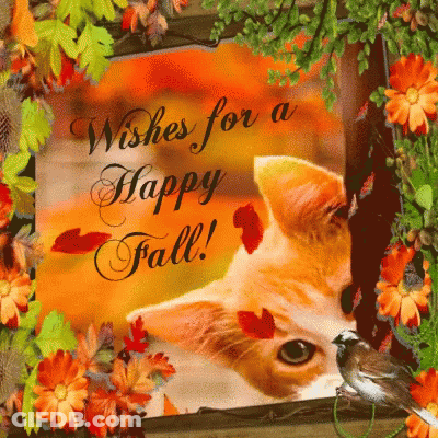 Happy Fall Happy October GIF