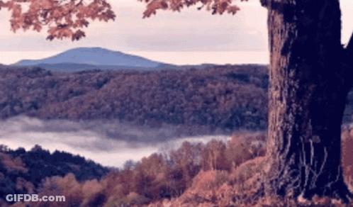 Happy Fall On Orange Background GIF