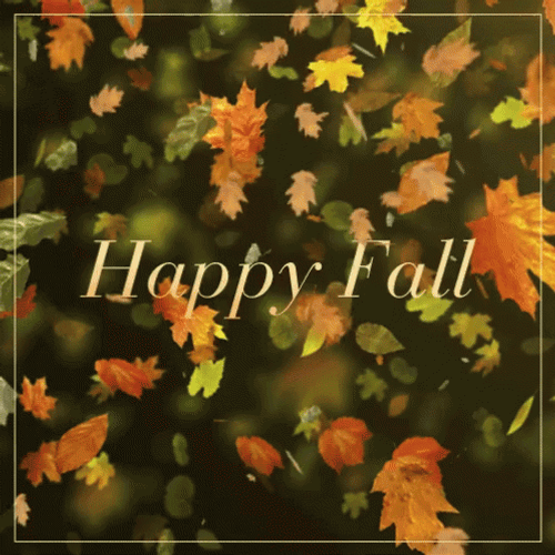 Happy Fall Saturday Lots Of Leaves Falling GIF