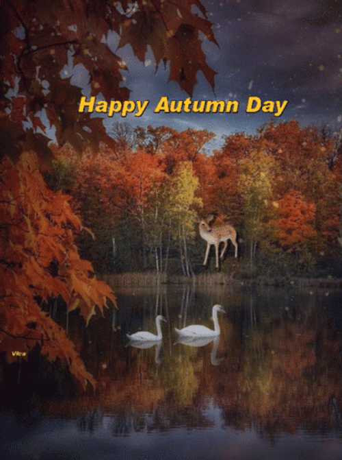 Happy Fall Saturday Rainy Day GIF