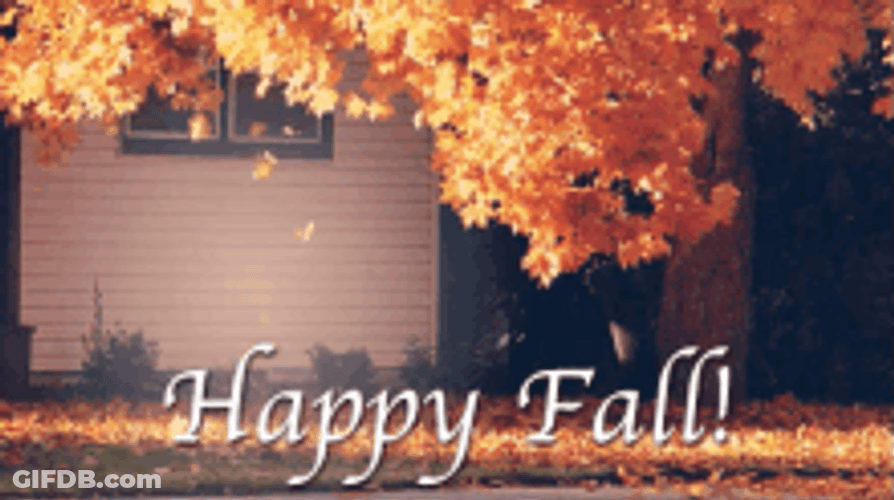 Happy Fall Soft Leaves Falling GIF