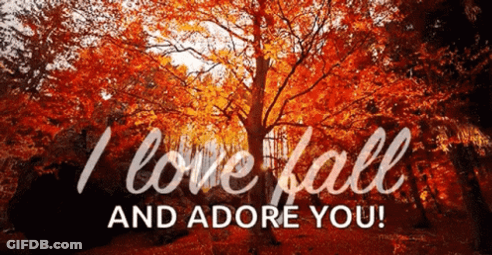 Happy Fall Sunday And Adore You GIF