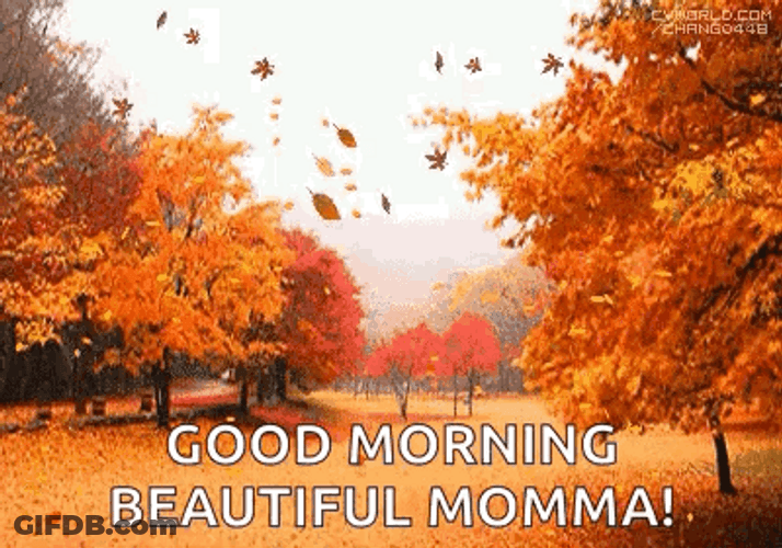 Happy Fall Sunday Beautiful Momma GIF