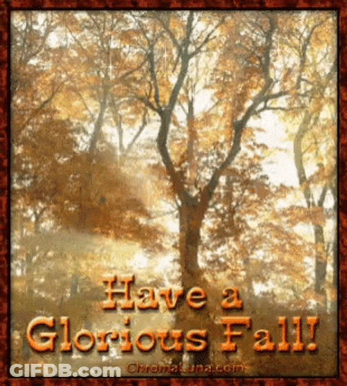 Happy Fall Sunday Have A Glorious Fall GIF