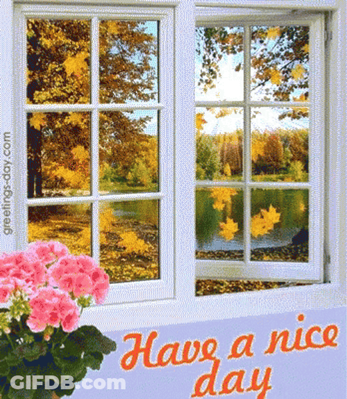 Happy Fall Sunday Have A Nice Day GIF