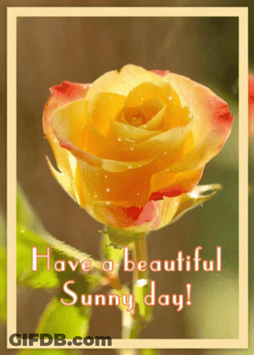 Happy Fall Sunday Sunny Day GIF