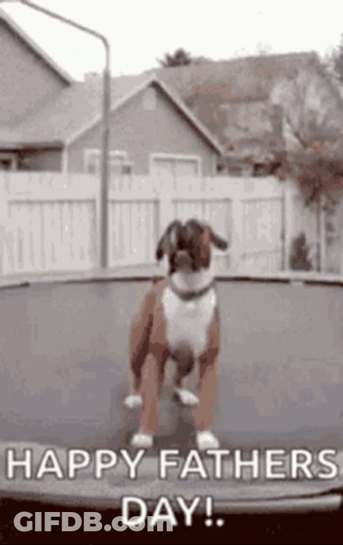 Happy Fathers Day Brother Trampoline Jumping Dog GIF