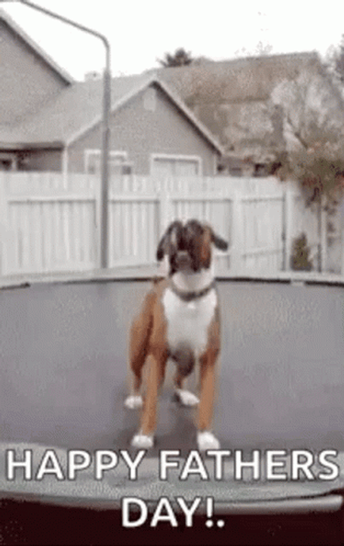 Happy Fathers Day Jumping Dog GIF