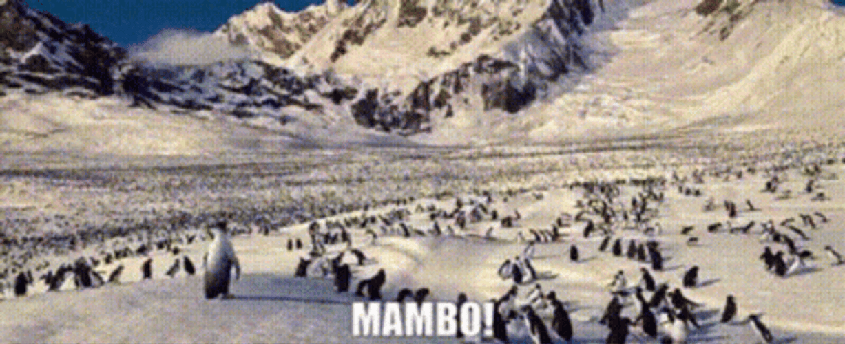 Happy Feet Crowd Mambo Dance GIF