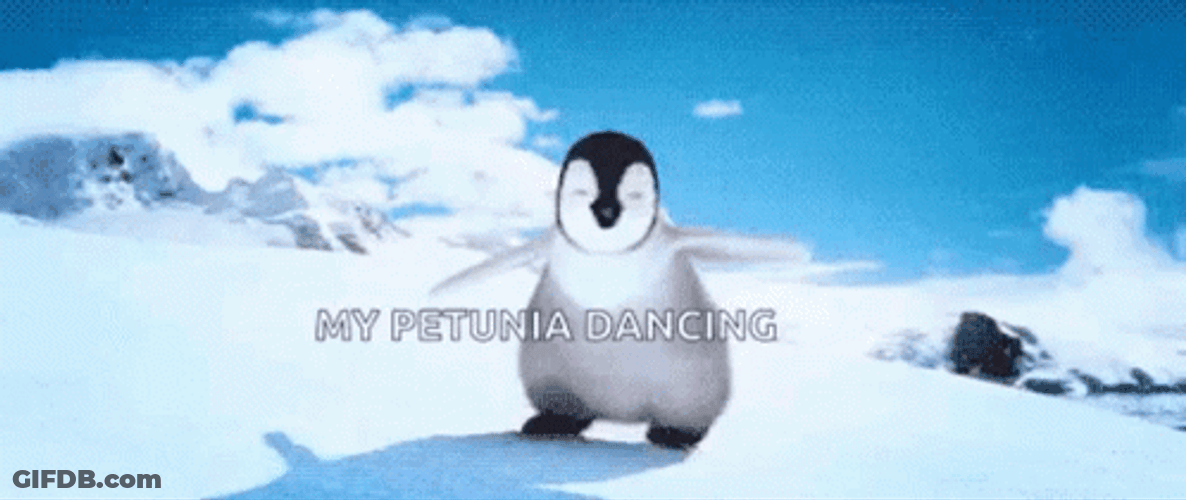 Happy Feet My Petunia Dancing GIF