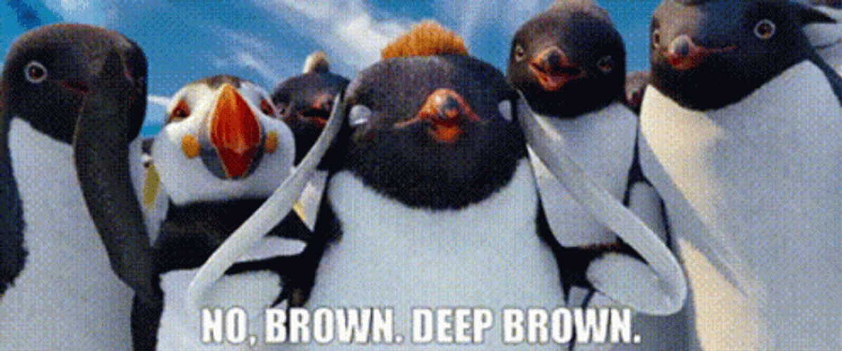 Happy Feet Ramon Deep Brown GIF