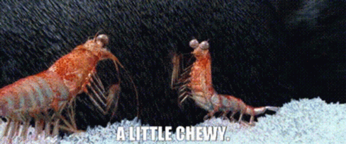 Happy Feet Shrimp A Little Chewy GIF