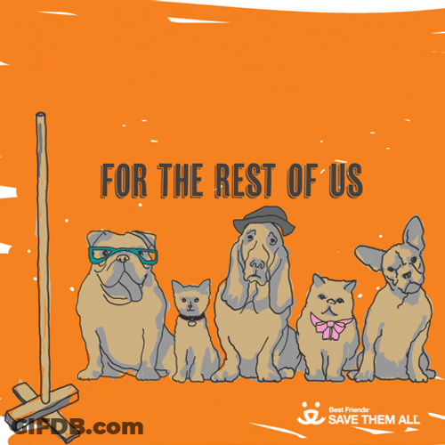 Happy Festivus Rest GIF