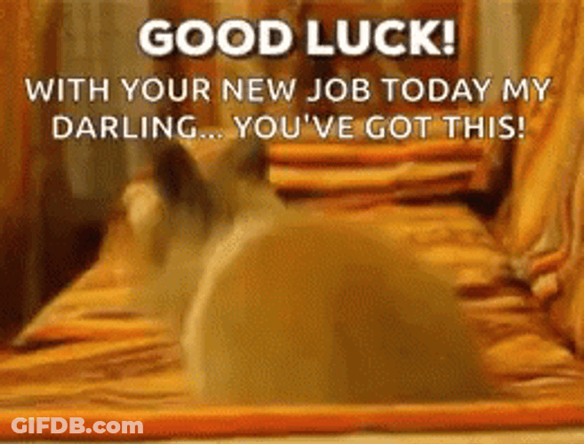 Happy First Day Hopping Bunny GIF