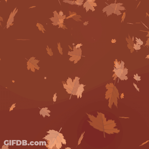 Happy First Day Of Fall Sign With Leaves GIF