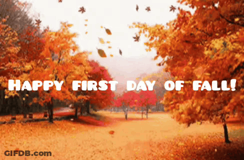 Happy First Day Of Fall With Trees And Falling Leaves GIF