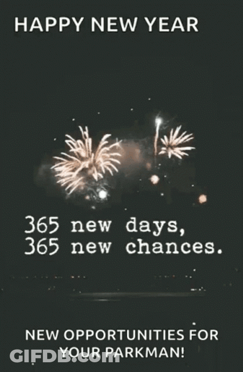 Happy First Day Of New Year Fireworks GIF