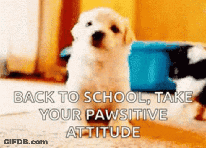 Happy First Day Of School Cute Puppy GIF