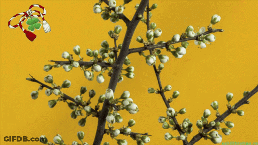 Happy First Day Of Spring Tree With Flowers GIF
