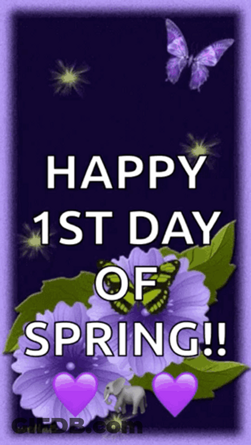 Happy First Day Of Spring Violet Flowers GIF